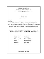 Nghiên cứu một số đặc điểm dịch tễ bệnh do giun tròn Trichocephalus spp. gây ra ở lợn tại huyện Yên Sơn, tỉnh Tuyên Quang và biện pháp phòng trị.