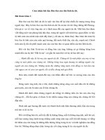 Cảm nhận khi đọc Bức thư của thủ lĩnh da đỏ