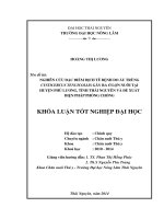 Nghiên cứu đặc điểm dịch tễ bệnh do ấu trùng Cysticercus tenuicollis gây ra ở lợn nuôi tại huyện Phú Lương, tỉnh Thái Nguyên và đề xuất biện pháp phòng chống.
