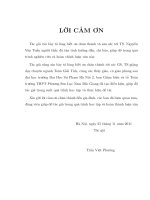 Phương pháp spline collocation và một số ứng dụng