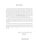 Cấu trúc (DN) và (DNφ) của đối ngẫu của không gian mầm các hàm chỉnh hình