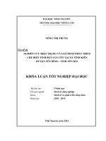 Nghiên cứu hiện trạng và giải pháp phát triển chế biến tinh bột sắn ướt tại xã Vĩnh Kiên – huyện Yên Bình – tỉnh Yên Bái.