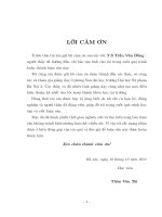 Nghiệm nhớt của phương trình Đạo hàm riêng phi tuyến Elliptic F (D2u(x),x) = 0 (LV00496)