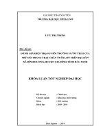 Đánh giá hiện trạng môi trường nước thải của một số trang trại nuôi lợn trên địa bàn xã Bình Dương, huyện Gia Bình, tỉnh Bắc Ninh.