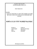 Đánh giá ảnh hưởng của nướcthải khu công nghiệp Gang Thép đến chất lượng nước suối Cam Giá thành phố Thái Nguyên.