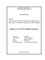 Thực trạng và những giải pháp phát triển kinh tế hộ tại xã Yên Phúc huyện Ý Yên tỉnh Nam Định.