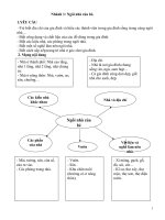 Giáo án bậc mầm non lớp 5 tuổi