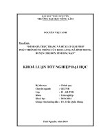 Đánh giá thực trạng và đề xuất giải pháp phát triển rừng trồng cây Keo lai tại xã Bình Trung, huyện Chợ Đồn, tỉnh Bắc Kạn.