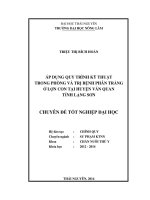 Áp dụng quy trình kỹ thuật trong phòng và trị bệnh phân trắng ở lợn con tại huyện Văn Quan - tỉnh Lạng Sơn.