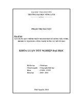 Xây dựng quy trình nhân nhanh một số giống mía YT006, Br3280 và TQ2 bằng công nghệ nuôi cấy mô tế bào.