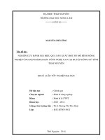 Nghiên cứu đánh giá hiệu quả sản xuất một số mô hình nông nghiệp ứng dụng khoa học công nghệ cao tại huyện Đồng Hỷ - Tỉnh Thái Nguyên.