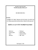 Nghiên cứu thực trạng sản xuất rau an toàn tại xã Vĩnh Lợi, huyện Sơn Dương, tỉnh Tuyên Quang.