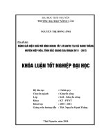 Đánh giá hiệu quả mô hình khoai tây Atlantic tại xã Danh Thắng, huyện Hiệp Hòa, tỉnh Bắc Giang giai đoạn 2011 - 2013.