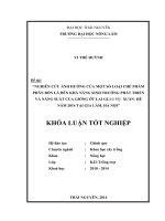 Nghiên cứu ảnh hưởng của một số loại chế phẩm phân bón lá đến khả năng sinh trưởng phát triển và năng suất của giống ớt lai GL1-1 vụ Xuân - Hè năm 2014 tại Gia Lâm - Hà Nội.
