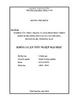 Nghiên cứu thực trạng và giải pháp phát triển kinh tế hộ nông dân tại xã Cao Thượng, huyện Ba Bể, tỉnh Bắc Kạn.