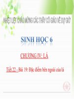 Bài giảng đặc điểm bên ngoài của lá môn sinh 6