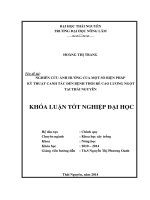 Nghiên cứu ảnh hưởng của một số biện pháp kỹ thuật canh tác đến bệnh thối rễ cao lương ngọt tại Thái Nguyên.