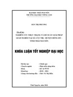 Nghiên cứu thực trạng và đề xuất giải pháp giảm nghèo tại xã Cây Thị - huyện Đồng Hỷ - tỉnh Thái Nguyên.