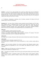 Oxford dictionary of synonyms