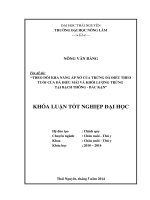 Theo dõi khả năng ấp nở của trứng đà điểu theo tuổi của đà điểu mái và khối lượng trứng tại Bạch Thông - Bắc Kạn.