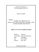 Tìm hiểu quy trình sản xuất giống cây Lát hoa (chukrasia tabularis A.Juss.) tại trường ĐHNL Thái Nguyên.