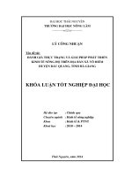 Đánh giá thực trang và giải pháp phát triển kinh tế nông hộ trên địa bàn xã Vô Điếm, huyện Bắc Quang, tỉnh Hà Giang.