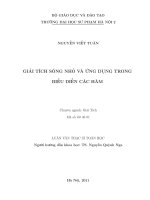 Giải tích sóng nhỏ và ứng dụng trong biểu diễn các hàm