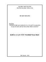 Đánh giá hiệu quả kinh tế của cây Quýt tại xã Quang Hán, huyện Trà Lĩnh, tỉnh Cao Bằng.