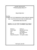 Nghiên cứu xác định hàm lượng Nitrate trong rau tại vùng sản xuất rau xã Đồng Bẩm – thành phố Thái Nguyên.