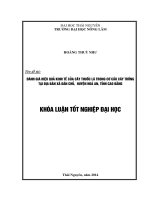 Đánh giá hiệu quả kinh tế của cây thuốc lá trong cơ cấu cây trồng tại địa bàn xã Dân Chủ, huyện Hoà An, tỉnh Cao Bằng.