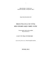 Phản ứng của cây vừng đối với điều kiện thiếu nước