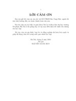 Phương trình chuyển động của các trường thành phần trong phiến hàm dây