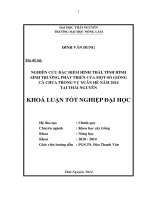 Nghiên cứu đặc điểm hình thái, tình hình sinh trưởng, phát triển của một số giống cà chua trong vụ Xuân Hè năm 2014 tại Thái Nguyên.