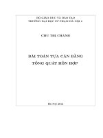 Bài toán tựa cân bằng tổng quát hỗn hợp