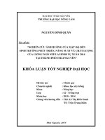 Nghiên cứu ảnh hưởng của mật độ đến sinh trưởng phát triển, năng suất và chất lượng của giống ngô nếp lai HN88 vụ Xuân 2014 tại Thành phố Thái Nguyên.