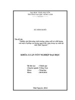 Nghiên cứu khả năng sinh trưởng, năng suất và chất lượng của một số giống cao lương ngọt triển vọng trong vụ xuân tại tỉnh Thái Nguyên.