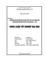 Đánh giá hiệu quả mô hình lúa năng suất cao tại xã Hùng Long huyện Đoan Hùng tỉnh Phú Thọ giai đoạn 2011 - 2013.
