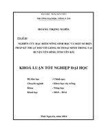 Nghiên cứu đặc điểm nông sinh học và một số biện pháp kỹ thuật đối với giống bưởi Đại Minh trồng tại huyện Yên Bình, tỉnh Yên Bái.