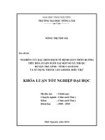Nghiên cứu đặc điểm dịch tễ bệnh giun tròn đường tiêu hóa ở lợn nuôi tại một số xã thuộc huyện Trà Lĩnh - tỉnh Cao Bằng và sử dụng thuốc Levamisol điều trị.