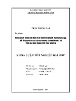 Nghiên cứu đánh giá mức độ ô nhiễm vi khuẩn Salmonella spp và Staphylococcus aureus trong sản phẩm thịt gà trên địa bàn thành phố Thái Nguyên.