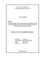 Đánh giá hiện trạng môi trường nông thôn và đề xuất giải pháp bảo vệ môi trường trên địa bàn xã Mường Phăng huyện Điện Biên tỉnh Điện Biên.