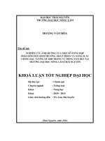 Nghiên cứu ảnh hưởng của một số tổ hợp phân bón đến sinh trưởng, phát triển và năng suất giống đậu tương DT2008 trong vụ Đông năm 2013 tại Trường Đại Học Nông Lâm thái Nguyên.