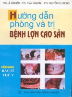 Ebook Hướng dẫn phòng và trị bệnh lợn cao sản- NXB. Nông Nghiệp