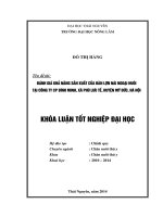 Đánh giá khả năng sản xuất của đàn lợn nái ngoại nuôi tại Công ty CP Bình Minh, xã Phù Lưu Tế, huyện Mỹ Đức, Hà Nội.