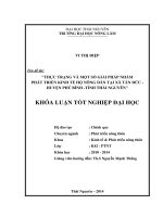 Thực trạng và một số giải pháp nhằm phát triển kinh tế hộ nông dân tại xã Tân Đức - Huyện Phú Bình -Tỉnh Thái Nguyên.