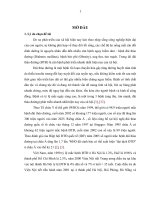 Nghiên cứu đặc tính sinh dược học của một số phân đoạn dịch chiết từ cây bông ổi