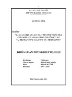 Đánh giá hiệu quả sản xuất mô hình trang trai chăn nuôi lợn nái gia công cho công ty C.P tại thị trấn Sông Cầu, Đồng Hỷ, Thái nguyên.
