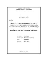 Nghiên cứu một số biện pháp kỹ thuật canh tác Cây men (Mosla Dianthera) tại xã Lương Thành, huyện Na Rì, tỉnh Bắc Kạn.