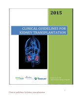 HƯỚNG dẫn lâm SÀNG TRONG GHÉP THẬN