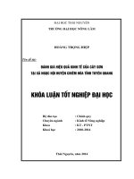 Đánh giá hiệu quả kinh tế của cây Sơn tại xã Ngọc Hội huyện Chiêm Hóa tỉnh Tuyên Quang.